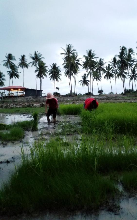 فندق I - Talay Taling Ngam Samui - เขา ป่า นา เล ตลิ่งงาม สมุย المظهر الخارجي الصورة