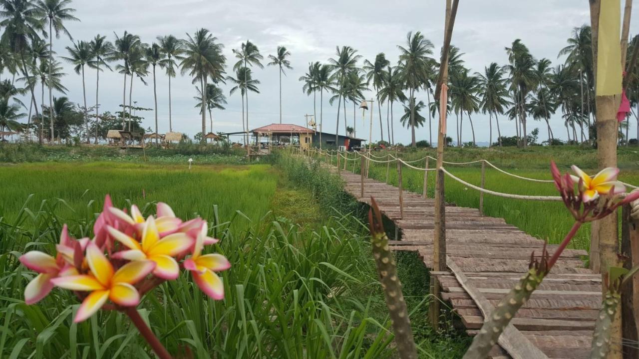 فندق I - Talay Taling Ngam Samui - เขา ป่า นา เล ตลิ่งงาม สมุย المظهر الخارجي الصورة