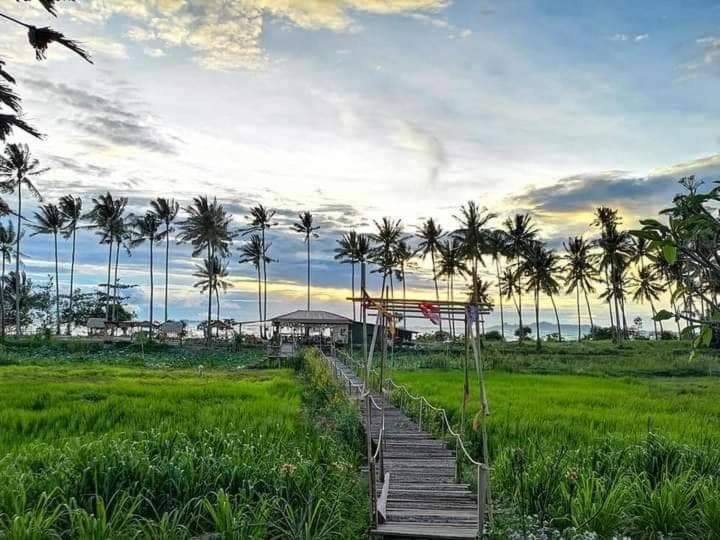 فندق I - Talay Taling Ngam Samui - เขา ป่า นา เล ตลิ่งงาม สมุย المظهر الخارجي الصورة