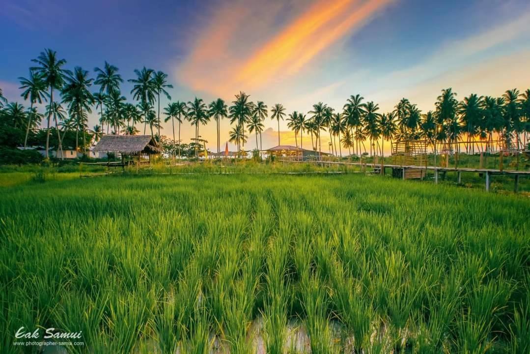 فندق I - Talay Taling Ngam Samui - เขา ป่า นา เล ตลิ่งงาม สมุย المظهر الخارجي الصورة